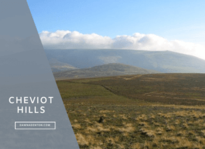 a view of the Cheviot Hills