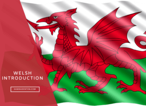 the symbol of Wales - the Welsh dragon